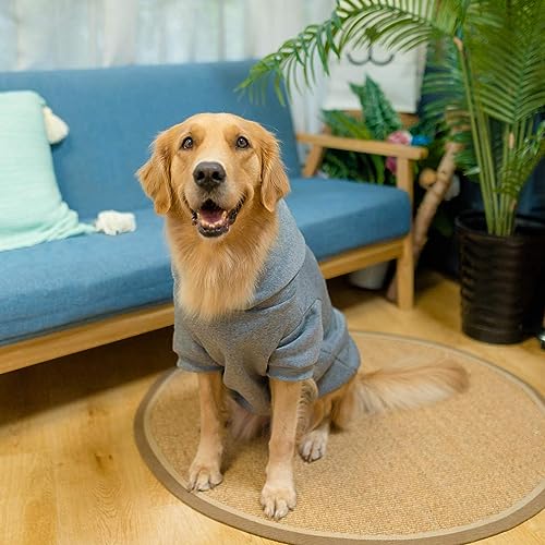 Dog Hoodie for Large Medium Small Dogs (Grey / XX-Large)