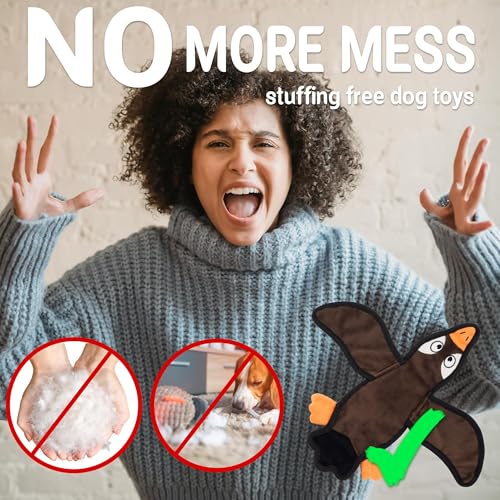 No Stuffing Dog Squeaky Toys (5pack)