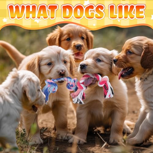 24 Pcs Dog Rope Toys Bulk Multi Color Puppy Chew Rope Cotton Teething Toys 2 Knot Tug for Aggressive Chewers Small and Medium Dogs Puppies