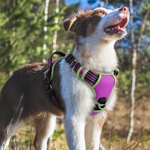 Dog Harness Medium Sized (Purple & Light Green / Medium)