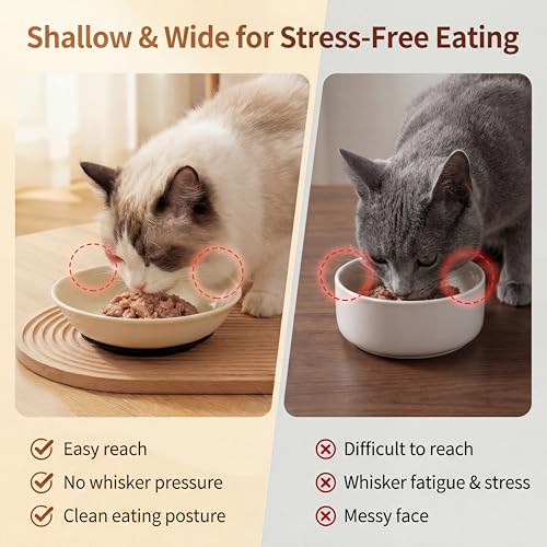 Ceramic Cat Food Bowls 6 Pack (Solid - Pads Attached)