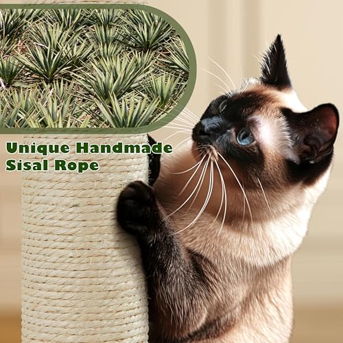 62.5inches Cat Tree Cat Tower Kitten Condo with Platform & Hammock (62.5in / Green)