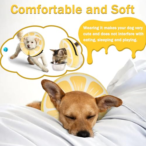 Inflatable Dog Cone Collar for Large Medium Small Dogs (Lemon / XL（neck 18"-23"）)