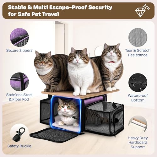 Top and 2 Sides Expandable Cat Carrier 18x11x11 TSA Airline Approved (Purple / 18.0"L x 11.0"W x 11.0"H)