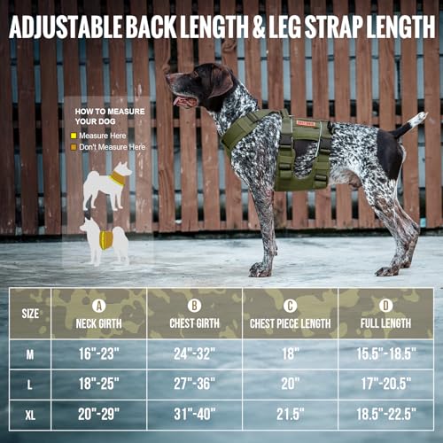 Breathable Dog Lift Harness for Medium Sized Dogs (Medium / Green)