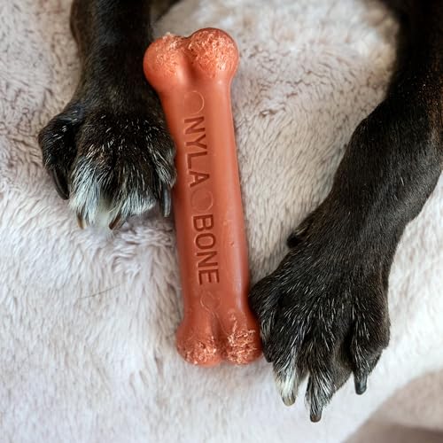 Power Chew Original Bone Dog Chew Toy (Small)