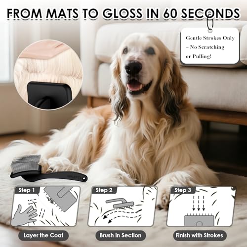 Large Dog 3 in 1 Grooming Kit (Black)