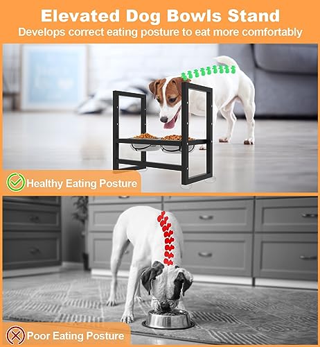 Elevated Dog Bowls Stand with 2 Stainless Steel Bowls (Matte black)