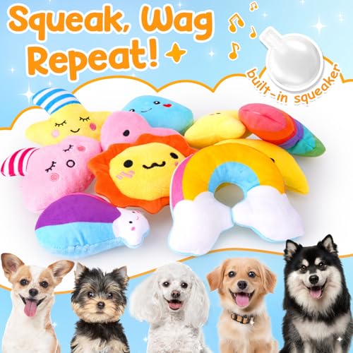 Weather Themed 20 (Weather-Themed Squeaky Toys)