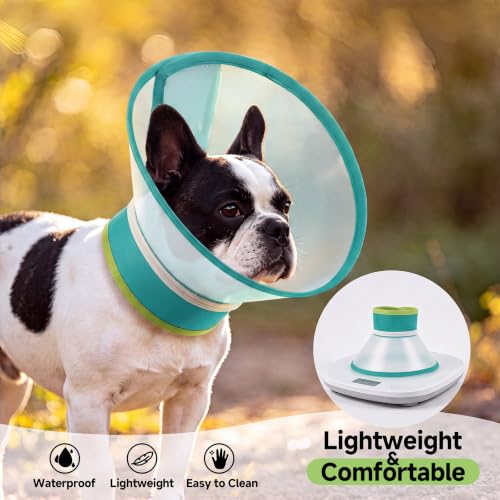Dog Cone Collar to Stop Licking (Green / L)