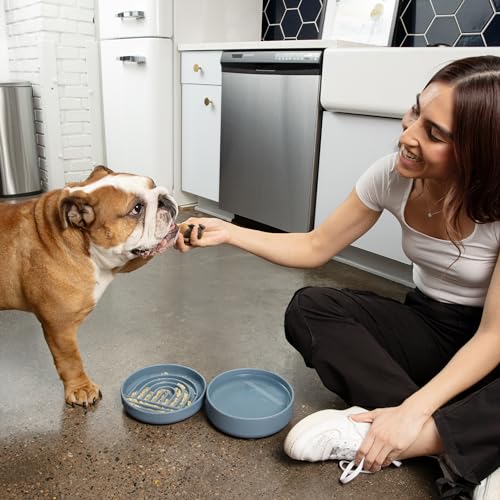 Slow Feeder Dog Bowl (Tan - Rainbow Design / Medium (7.5” Across x 1.5” Tall))