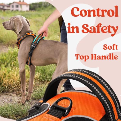 Dog Harness Small Sized (Small / Orange)