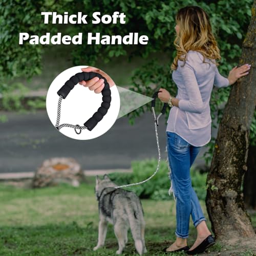 5FT Light up Dog Leash