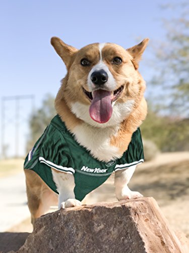 NFL NEW YORK JETS DOG Jersey (Large / New York Jets)
