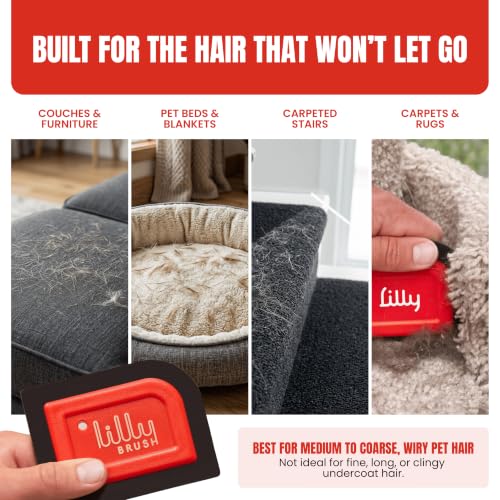 Mini Pet Hair Detailer