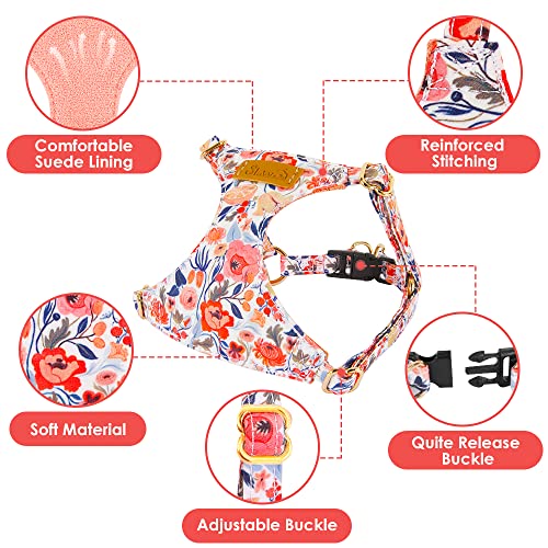 No Pull Dog Harness with Leash for Small Medium Dogs (XX-Small(2.2-6lb) / Flower)