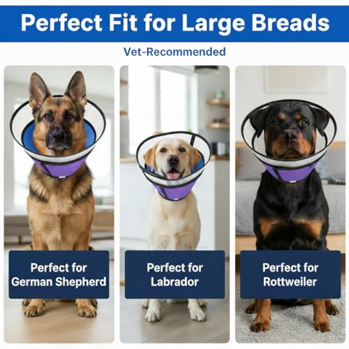Dog Cone Collar for Medium Large Dogs (M - Neck Girth:12" - 15.7")