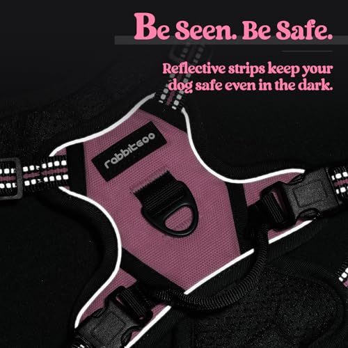 Dog Harness No Pull with 2 Leash Clips (X-Small / Pink)