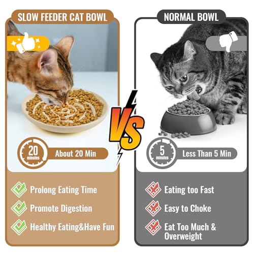 Slow Feeder Cat Bowl Set of 2 (cream)