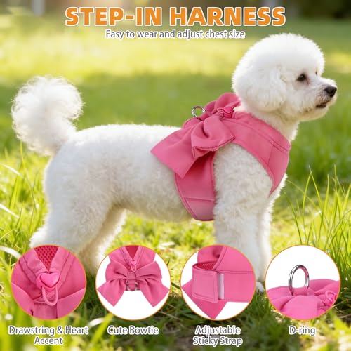 Small Dog Harness and Leash Set (Fuchsia / S (Chest Girth: 13.8"-15.7"))
