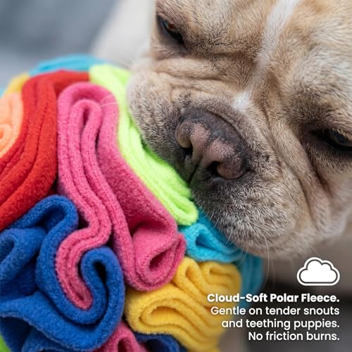 Snuffle Ball for Dogs (Rainbow / Small)