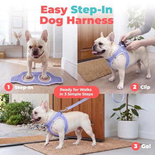 Voyager Step in Air Dog Vest Harness (Lavender / L (Chest: 18 - 20.5"))