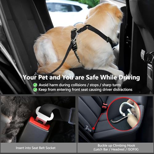 Dog Seat Belt (Black Daisy / L (Chest: 22-32.3", Neck: 16.9-26"))