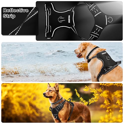 Dog Pet Harnesses No Pull with Dog Collar (X-Large / Black)