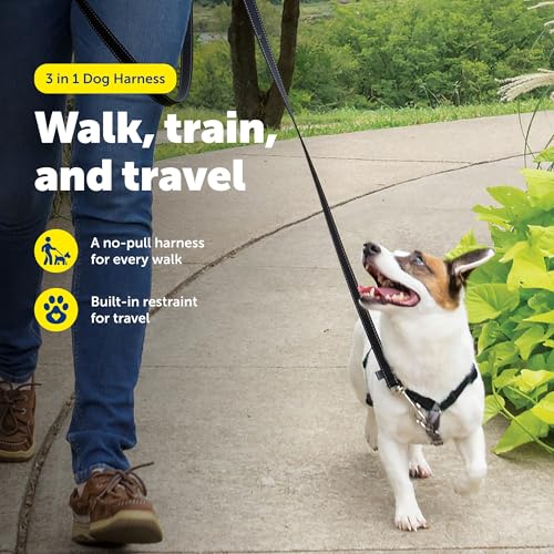 3 in 1 No Pull Dog Harness (Black / Small (Pack of 1))