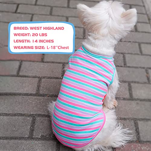 2Pack Cotton Dog Shirt for Small Dogs Soft Striped Tank Top (Medium (7-13lbs) / 04# 2Pack (Purple+Purple Striped))