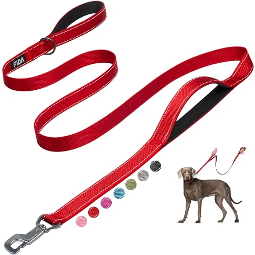 Heavy Duty Dog Leash for Medium Large Dogs (6 Feet (Pack of 1) / Red)