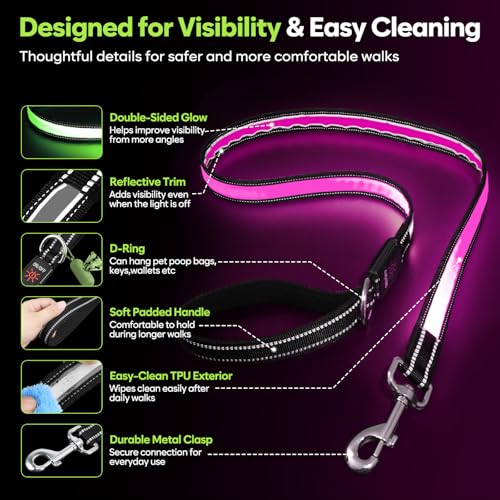 5 Ft LED Dog Leash (5 Ft)