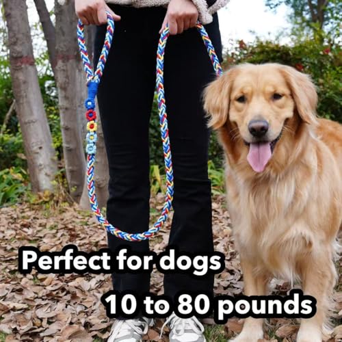 5FT Braided Cotton Rope Leash for Small (Colorful Carousel)