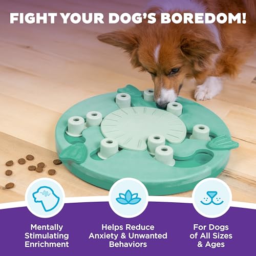 Nina Ottosson Dog Worker Dog Toy Treat Puzzle (Dog Worker (Green) / 1 Count (Pack of 1))