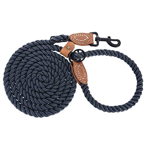 Hands Free Dog Leash (Blue Green / 8FT Hands Free)
