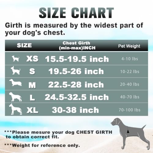 No Pull Dog Harness Large Step in Reflective Dog Harness with Front Clip and Easy Control Handle for Walking Training Running with ID tag Pocke (Blue/Black / Medium)