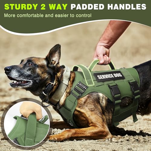 Service Dog Vest Harness for Large Dog (Large / Green)