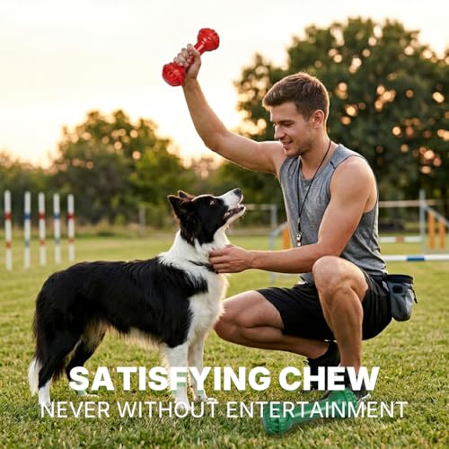 Dog Toys for Aggressive Chewers (Mr. Bone - Double)