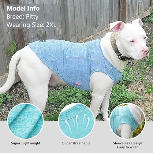 2Pack Reflective Dog Shirt (Medium (7-13lbs) / 8# 2Pack (Lake Blue+Rose Red))