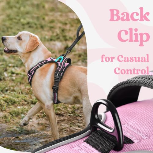Dog Harness Small Sized (Small / Pink)
