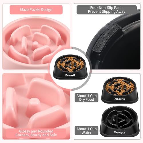2 Pack Slow Feeder Dog Bowls for Small Dogs (Small / Black and Pink)