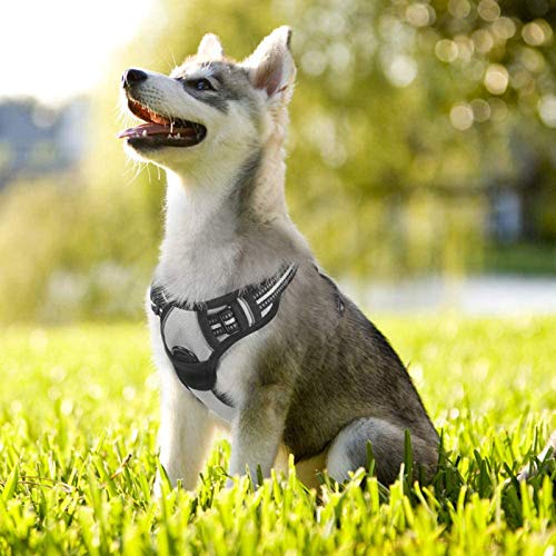 Dog Harness No Pull for Small Dogs with 2 Leash Clips (Small / Gray)