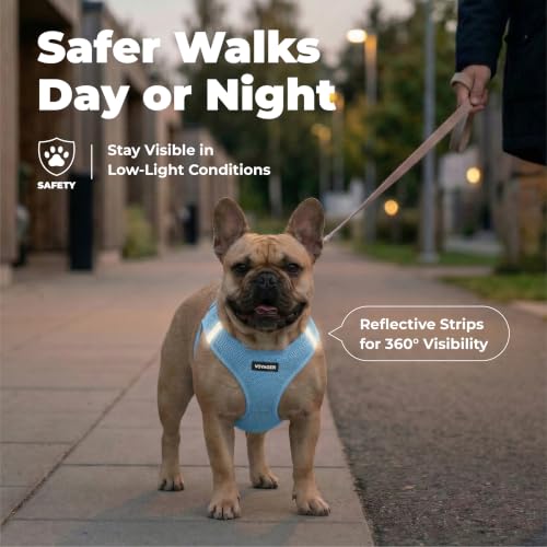 Voyager Step in Air Dog Vest Harness (Baby Blue / XL (Chest: 20.5 - 23"))