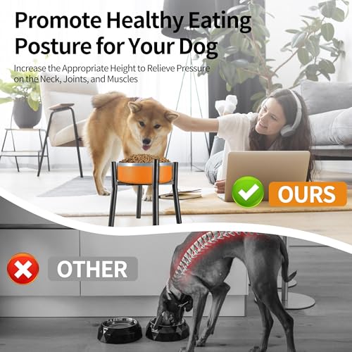 Lifted Dog Bowl Stand (Middle-HIGH-10IN)