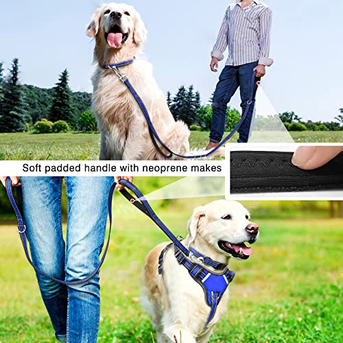 All-in-One Reflective Dog Harness, Collar & Leash Set, No Pull with Adjustable Buckles, X-Large, Dark Blue (X-Large / Dark Blue)