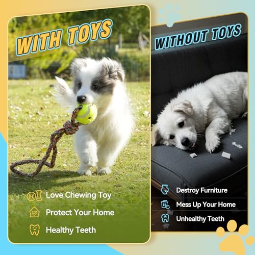 Dog Rope Toys for Small