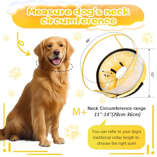 Inflatable Dog Cone Collar with Detachable Enhanced Anti (Lemon / M+（neck 11"-14"）)