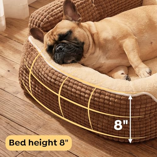 Square Dog Bed Medium Size Dog (Mocha Brown / 36"L x 26"W x 8"H)