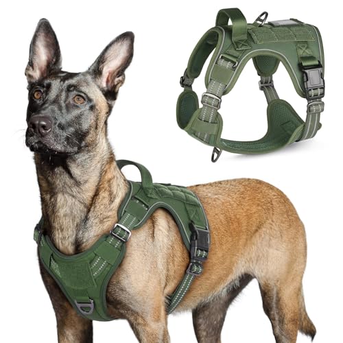 Tactical Dog Harness for Large (Green / Large)