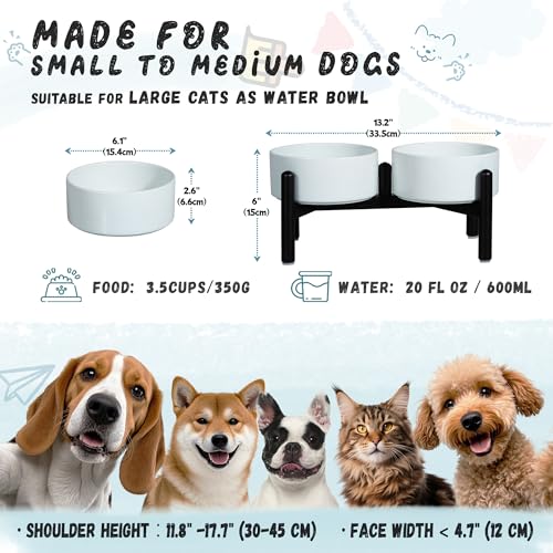 Ceramic Elevated Dog Bowl Set (Blue / 3.5 Cups)